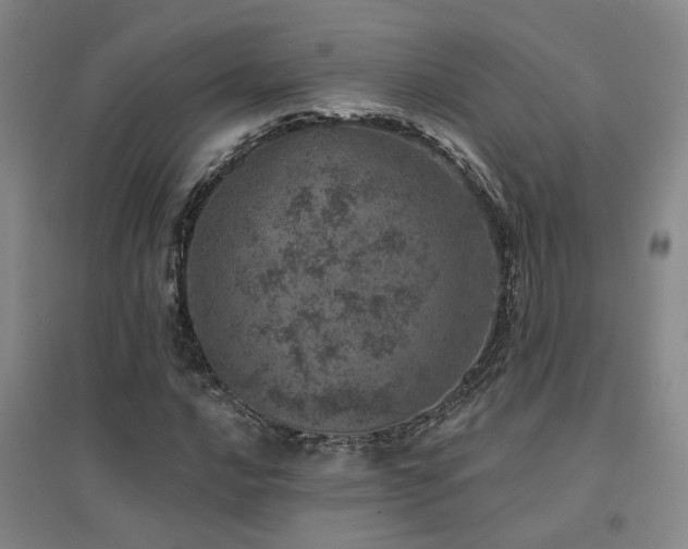 X0000094441016200711081243