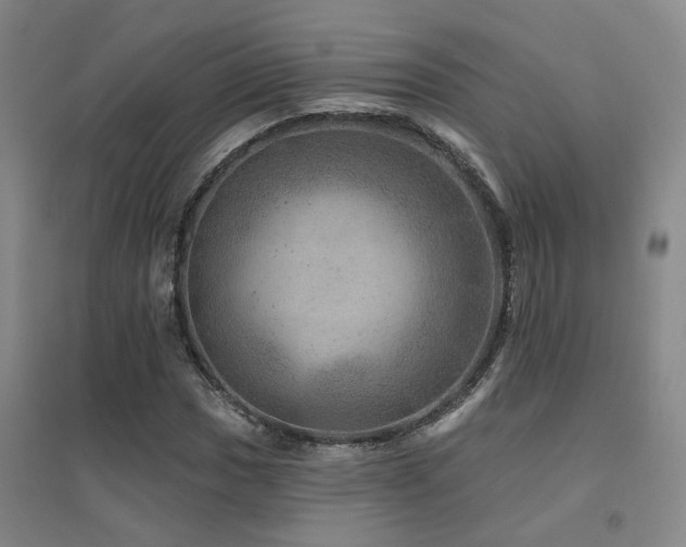 X0000094441017200711081243