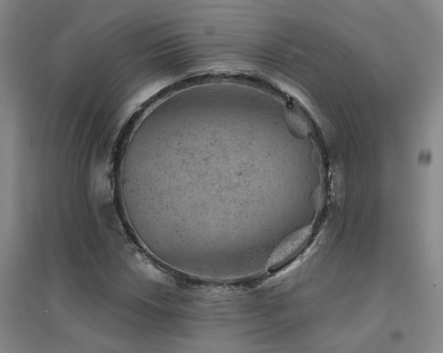 X0000094441018200711081243