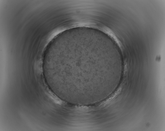 X0000094441019200711081243