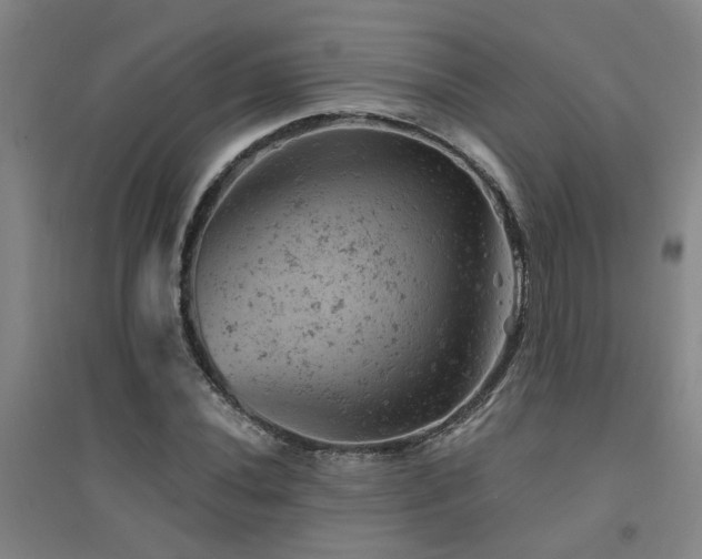 X0000094441020200711081243