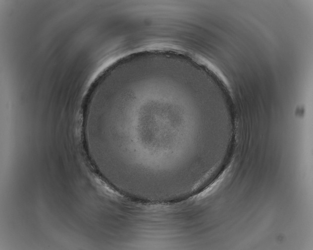 X0000094441021200711081243