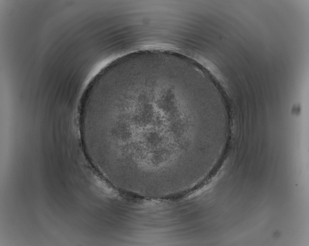 X0000094441022200711081243