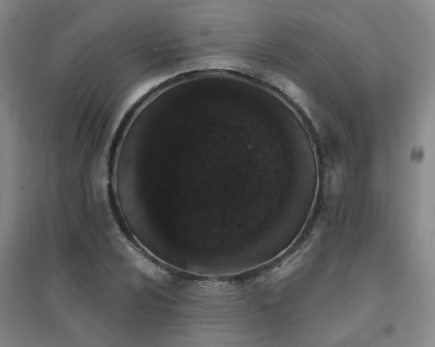 X0000094441024200711081243