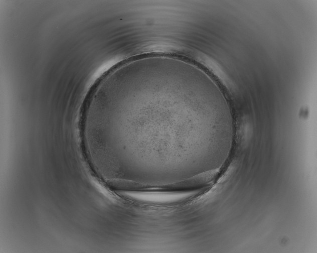 X0000094441026200711081243