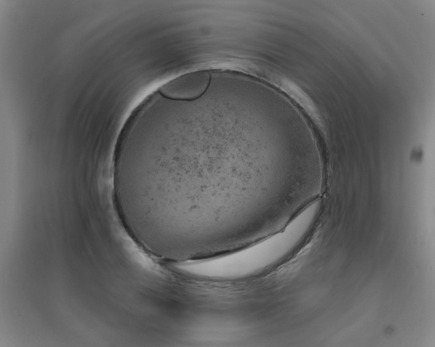 X0000094441028200711081243