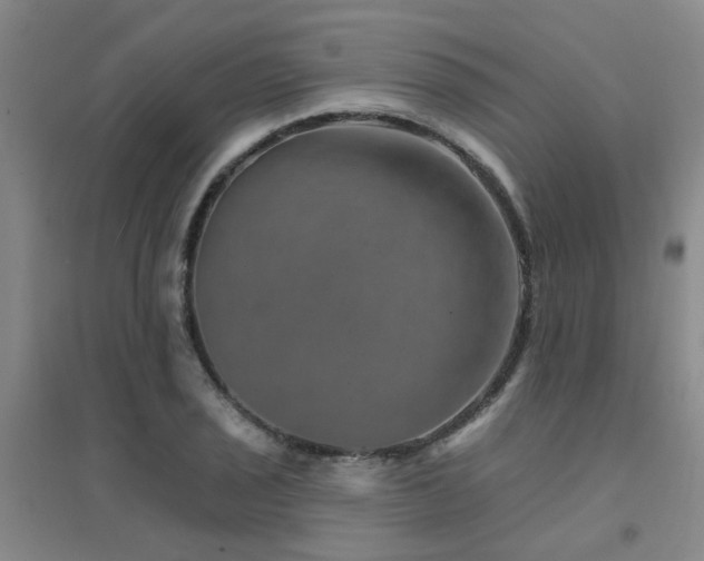 X0000094441029200711081244