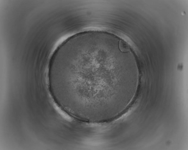 X0000094441030200711081244