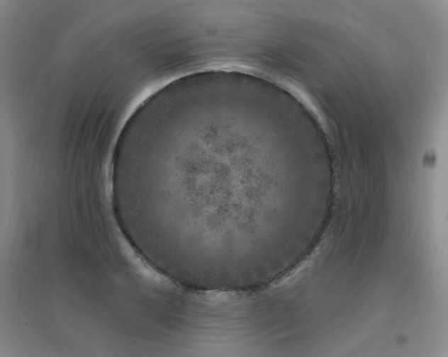 X0000094441032200711081244