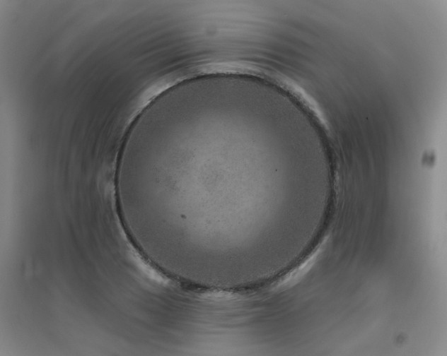 X0000094441033200711081244