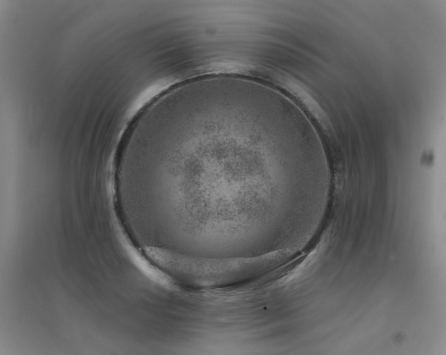 X0000094441034200711081244