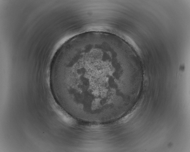 X0000094441035200711081244