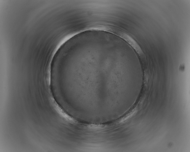 X0000094441036200711081244