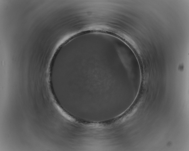 X0000094441037200711081244