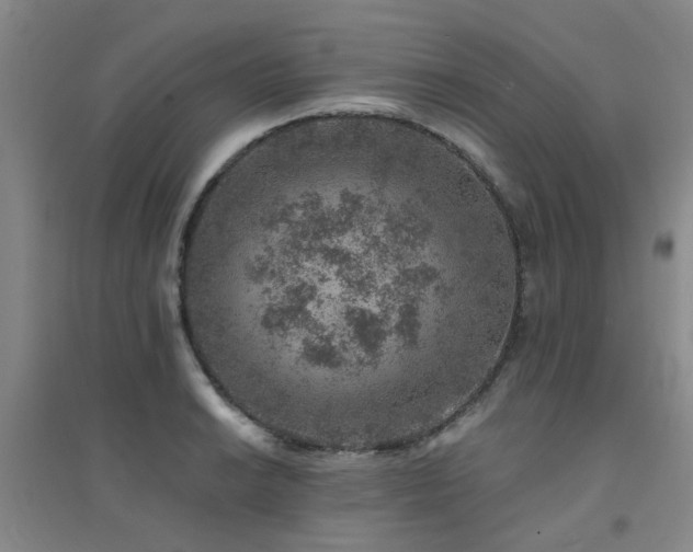 X0000094441038200711081244