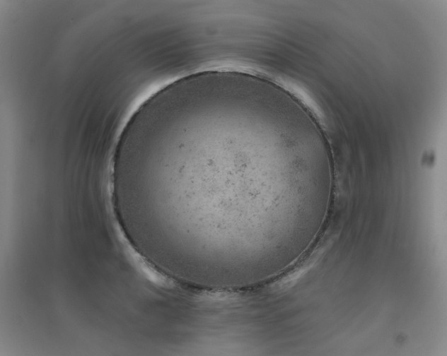 X0000094441040200711081244