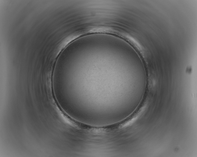 X0000094441041200711081244