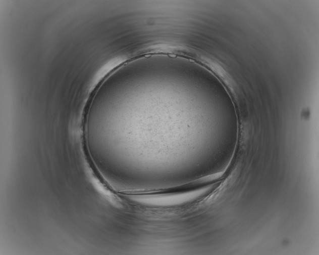 X0000094441042200711081244