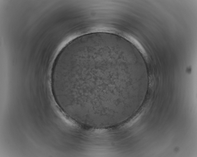 X0000094441043200711081244