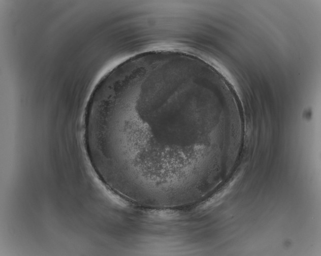 X0000094441045200711081244