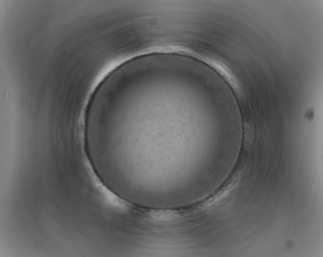 X0000094441046200711081244