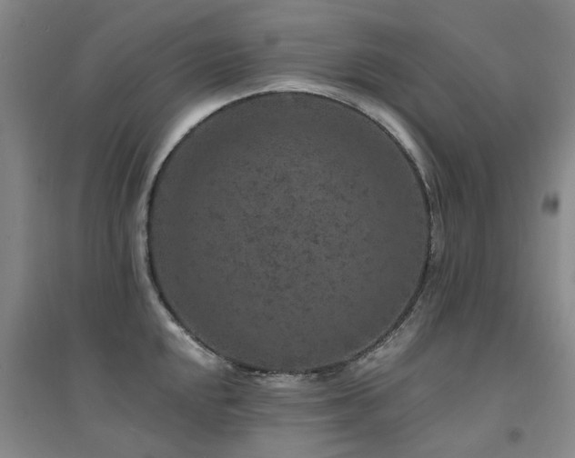 X0000094441048200711081244
