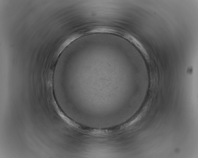 X0000094441049200711081244