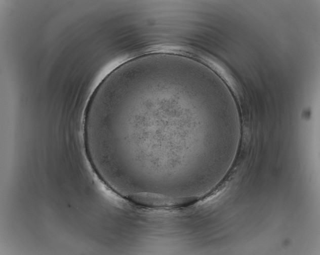 X0000094441050200711081244
