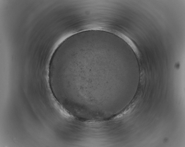 X0000094441051200711081244
