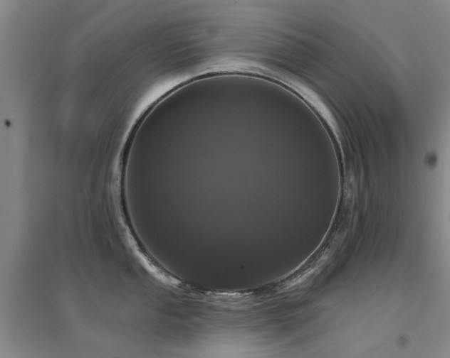 X0000094441053200711081244