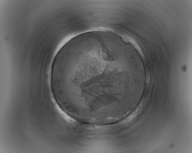 X0000094441054200711081244