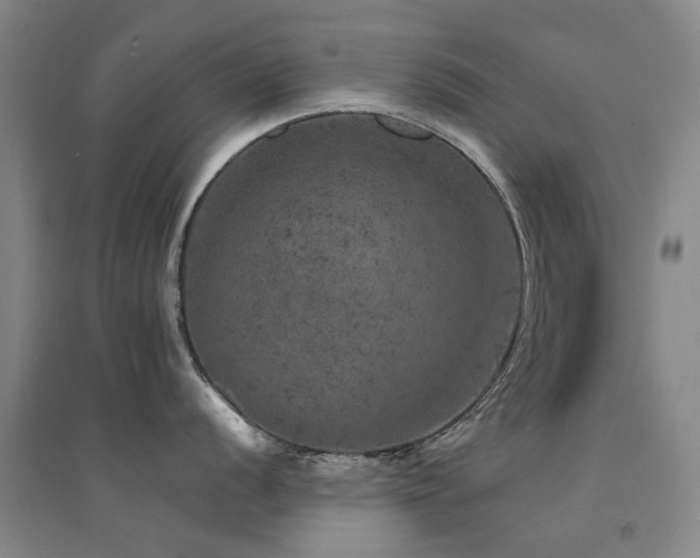 X0000094441056200711081244