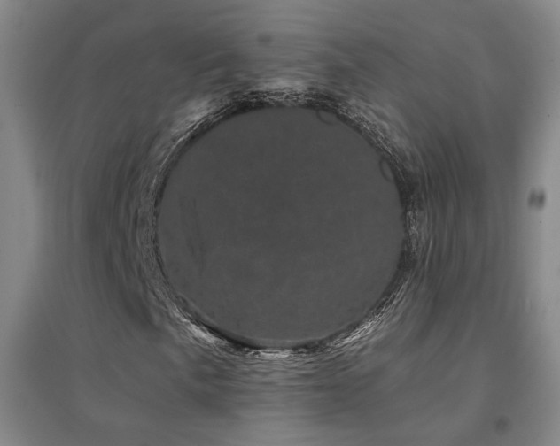 X0000094441057200711081243