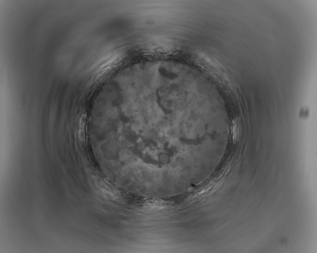X0000094441059200711081243