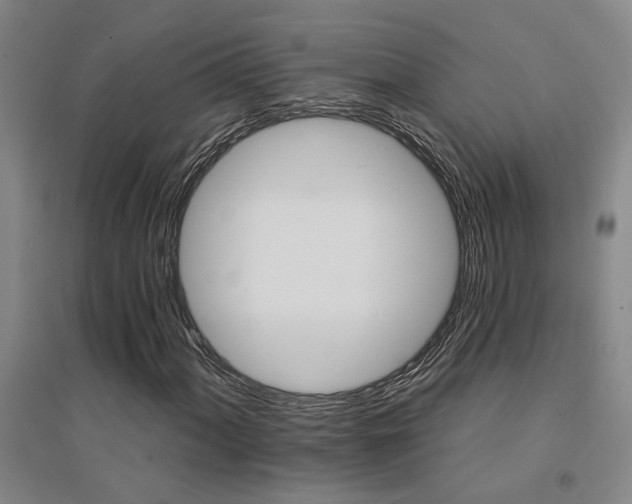 X0000094441060200711081243