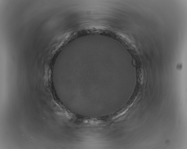 X0000094441061200711081243