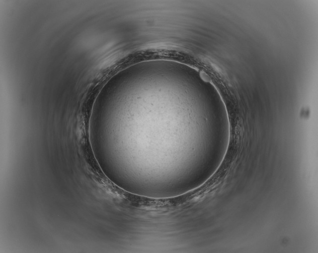 X0000094441062200711081243