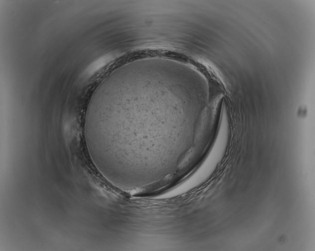 X0000094441064200711081243