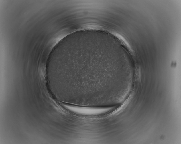 X0000094441065200711081243