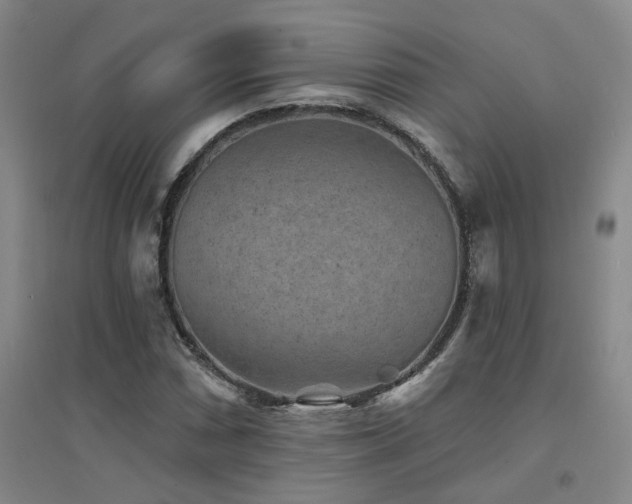 X0000094441066200711081243