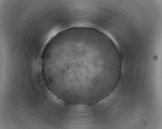 X0000094441067200711081243