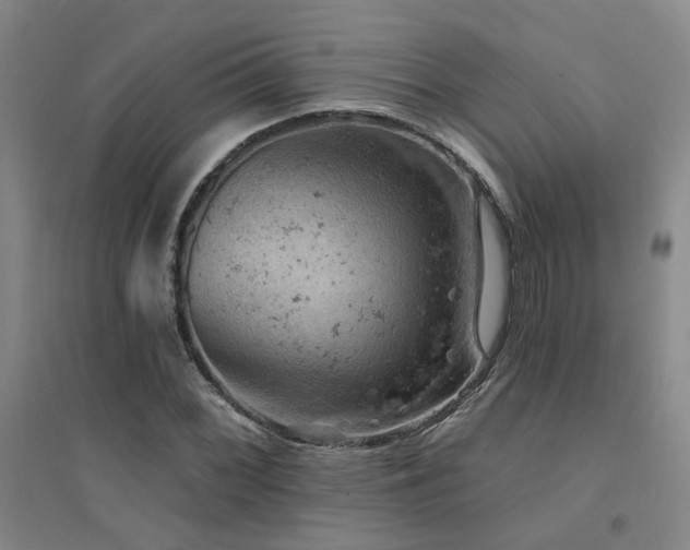 X0000094441068200711081243