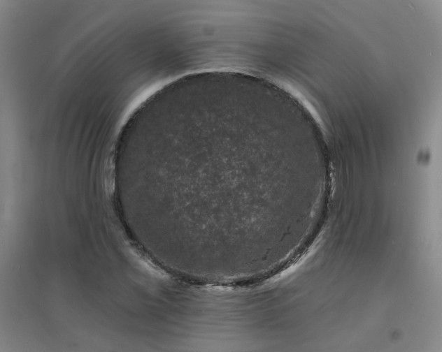 X0000094441069200711081243