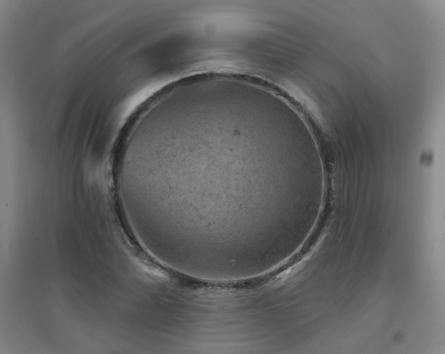 X0000094441070200711081243