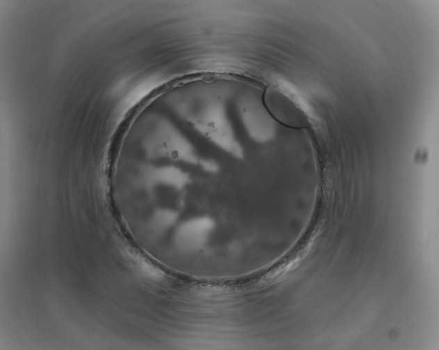 X0000094441071200711081243