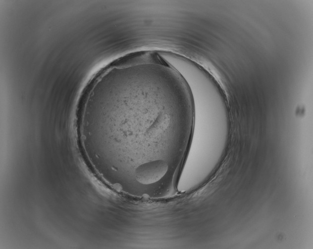 X0000094441072200711081243