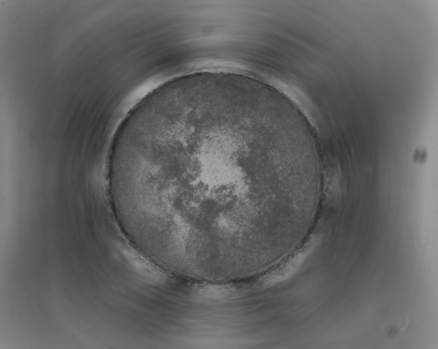 X0000094441074200711081243