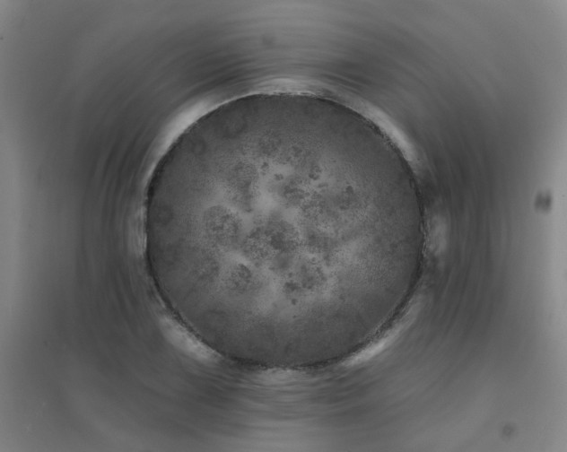 X0000094441075200711081243