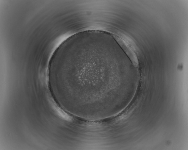 X0000094441076200711081243