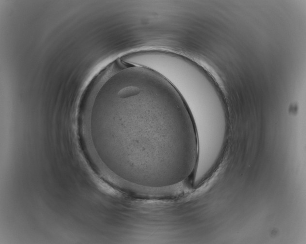 X0000094441077200711081243